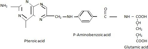 folic acid or pteroglutamic acid